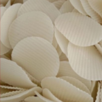 Potato Chips(Handmade)