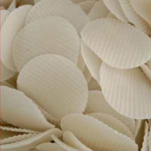 Potato Chips(Handmade)